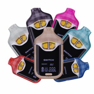 Boutiq V4 Disposable